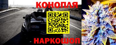 крисы Жуковский