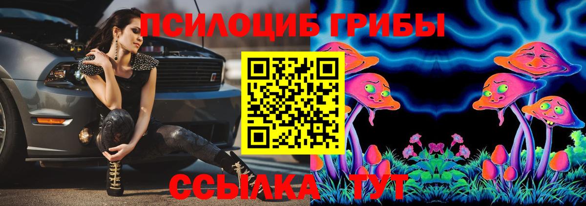 Псилоцибиновые грибы Psilocybe  Вход с VPN  наркота  Миллерово 